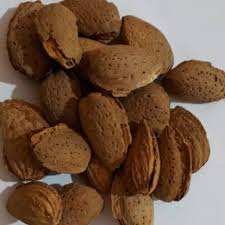 فروش بادام شور